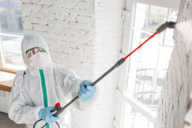 Mold Documentation for Insurance Claims in Rosemead, CA