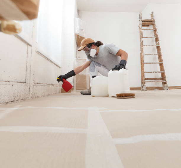 Best Comprehensive Air Testing for Mold Contaminants  in Rosemead, CA
